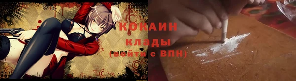 тгк Арсеньев