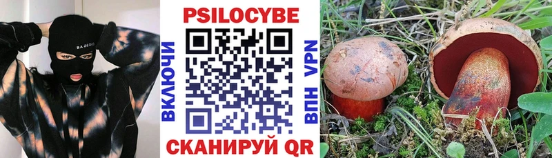 как найти наркотики  Югорск  Псилоцибиновые грибы GOLDEN TEACHER 
